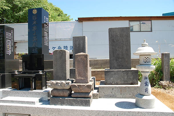 sakamoto_3