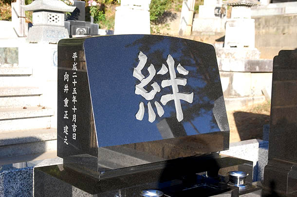 photo_mukai_2