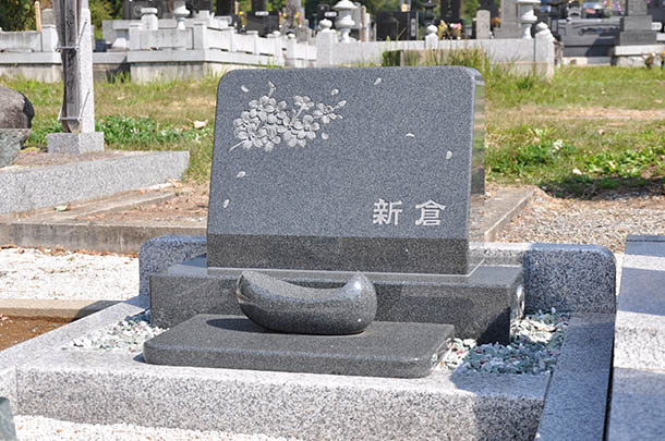 photo_niikura_1