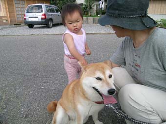 犬