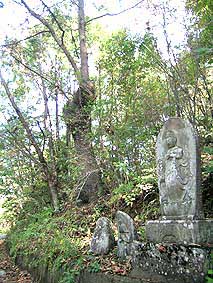 観音