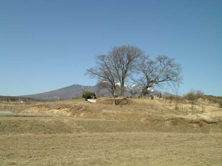 田端1