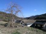 釜無川9