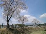 高根のお墓1