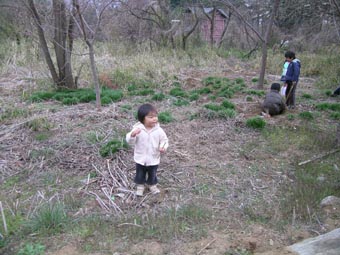 冬青庵1