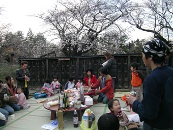 冬青庵2