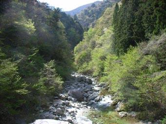 尾白川1
