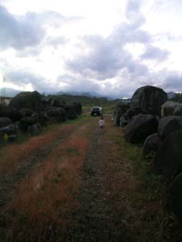 川崎町1