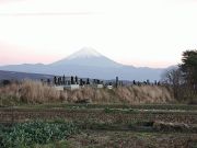 お墓風景東井出